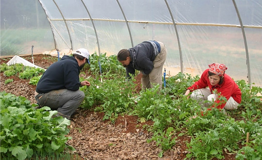 Sustainable food and farming